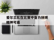合乐彩票app下载-爱尔兰队在比赛中奋力拼搏精神可嘉